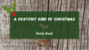 A Cratchit Kind of Christmas post image